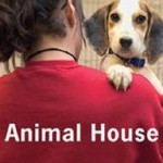 Animal House Thumbnail